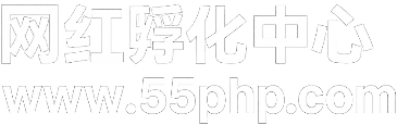 短视频运营新手必备，高效工具软件推荐清单 效工觉得合适再开会员也不迟 第1张